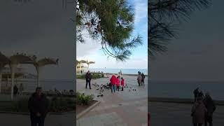 Ялта в декабре #олегялта #крым #ялта / Жизнь в Ялте
