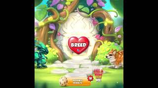 #Shorts - Dragon Mania Legends