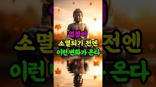 업장이 소멸될 때, 이런 징조가 찾아옵니다 #부처님말씀 #불교명언 #업장소멸 #마음공부 #불교가르침 #수행