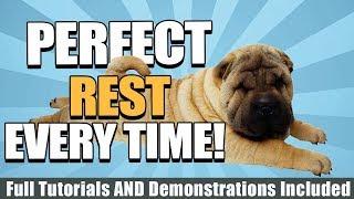 How To Train Your Dog To Rest With Tutorials, Demonstrations, And More!