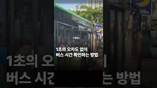 1초 오차도 없는 버스 시간 확인 방법