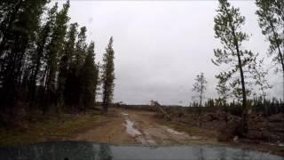 HWY 40 Old logging road after the rain