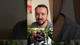 Разбираем фильм «Место Под Соснами»