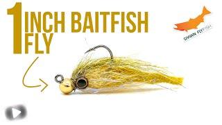 Mini Jigged Sparkle Minnow- Fly Tying Tutorial - Minnow Pattern