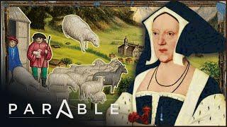 Parable's Insight into Tudor Monastery Farm's Sheep-Herding Techniques