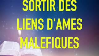 SORTIR DES LIENS D'AMES MALEFIQUES