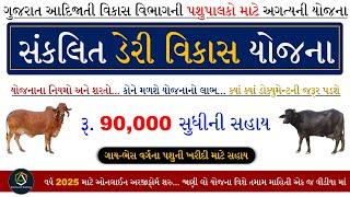 Sankalit Dairy Vikas Yojana 2025 Gujarat | સંકલિત ડેરી વિકાસ યોજના