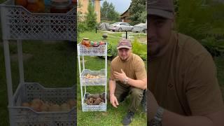 Не выбрасывайте старые ящики | жду вас в телеграмм