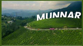 Munnar Kerala || Day 15 south Indian Odyssey