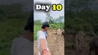 30 day challenge #day10 || #minivlog #vlog #shortvideo #dailyvlog #youtubeshorts