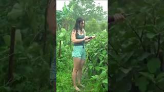 #timelapse star to finish alone blind log cabin wooden house how to build wooden cabin surviva