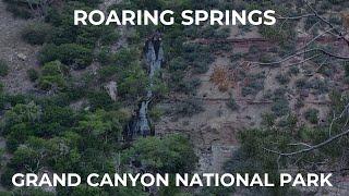 Learn about Roaring Springs with the Grand Canyon Conservancy Field Institute!