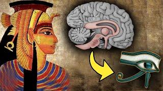 Third Eye Pineal Gland: The Biggest Cover-Up in Human History