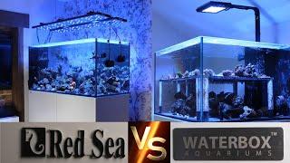 Red Sea Reefer vs Waterbox Aquariums: Which Is Better?