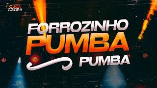 FORROZINHO - Pumba Pumba MC TOPRE (Alan Walker, K-391, Tungevaag, Mangoo) PROD. Vinnyrd7