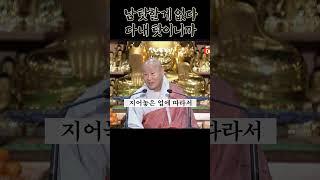 내 인생은 왜 이래? 남 탓 할게 하나도 없다 #묘허스님 #업보 #업장소멸