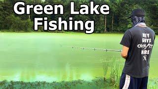 How to Catch Fish in a Completely GREEN Lake