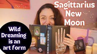 SAGITTARIUS NEW MOON | Life is absurd and beautiful. WILD DREAMING! | November 30, 2024