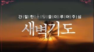 새벽기도 (간절한 소망을 이루어주심)