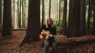 Austin Mackay - Since Autumn (Live from the Redwoods)