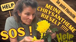 Hilfe- meine Chrysantheme rieselt. Was tun ???? Rette eine der schönsten Herbstblumen super einfach!