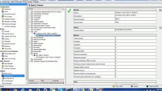 Informatica MDM 10 - How to recover data using RAW table