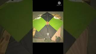 # kite photo's # mirza gyan  # kite fighting # kite short's  # kite cutting #viral kite