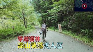 4K（第210集）高山集落无人区——穿越密林. 上集 Takayama village——Crossing the dense forest. part1