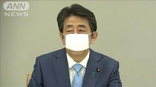 緊急事態宣言を今月末まで期間延長　安倍総理が表明(20/05/04)