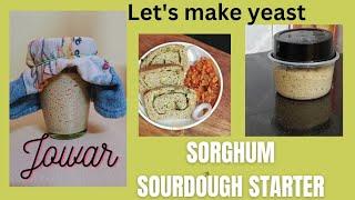 Escape the Yeast: How to Make Healthy Sourdough Starter from Sorghum (Jowar)