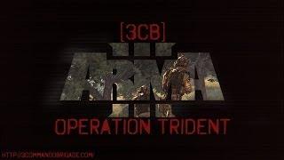 ARMA 3 - "Operation Trident" - [3CB] Realism Group] - [Huge Squad]