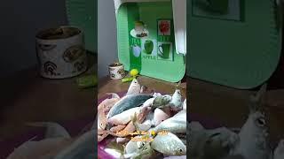 رحلة صيد رائعة في الإسكندرية