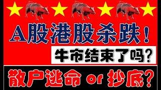 大牛市结束？！A股港股又集体杀跌！散户到底要逃命还是抄底？！（2024.11.14股市分析）