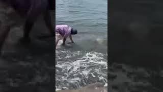 How to Release a Fish