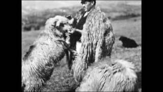 Sârbă ciobănească / Pastoral dance