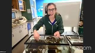 BMSC Live! Marine Biodiversity on the West Coast (Science Odyssey 2022)