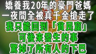 嬌養我20年的豪門爸媽，一夜間全被真千金搶走了，我只能回到所謂的「貧民窟」，可後來發生的事，驚掉了所有人的下巴！#中老年心語 #深夜讀書 #幸福人生 #花開富貴#深夜淺讀【荷上清風】