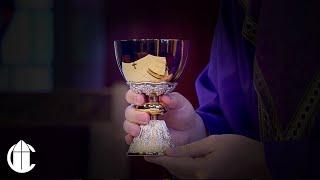 Catholic Mass Today: 12/8/24 | Second Sunday Of Advent