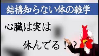 【健康雑学】心臓って休むことあるの？