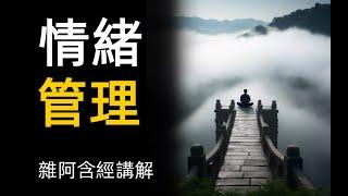 雜阿含經講解69 情緒管理 善有善報 惡有惡報 不以物喜 不以己悲 Daily buddhist practice buddhism audiobook a level buddhism