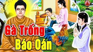 Kể Truyện Đêm Khuya, Nhân Quả Báo Ứng Ăn Th.ịt Gà Chịu QUẢ BÁO Nhãn Tiền Cái Kết Cho Việc S.át Sanh