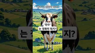 "한우"는 정확히 뭐지? #한우 #황소