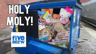 Dumpster Diving- Toys, Makeup, Snacks, Posters + The Critter Cam