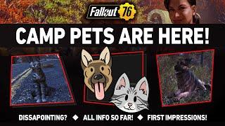 NEW CAMP PETS Are NOT What You think! | Fallout 76 Latest News