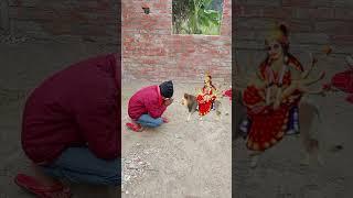 maa Durga  ka video editing sanjeev kumar yadav7236#short
