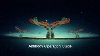 Antibody IHC Experiment Operation Guide - Elabscience