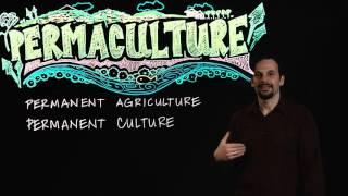 What is Permaculture?