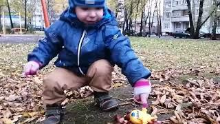 Andrew collects chestnuts! A funny story! Gurvinya Kids! Andrew!