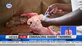 Kenyans urged to embrace rabbit farming as demand for rabbit meat surge