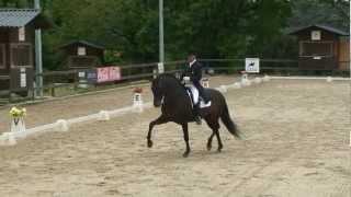 Victor Alvarez y Curioso XXV Caballo P.R.E Gran Premio Doma Clasica
